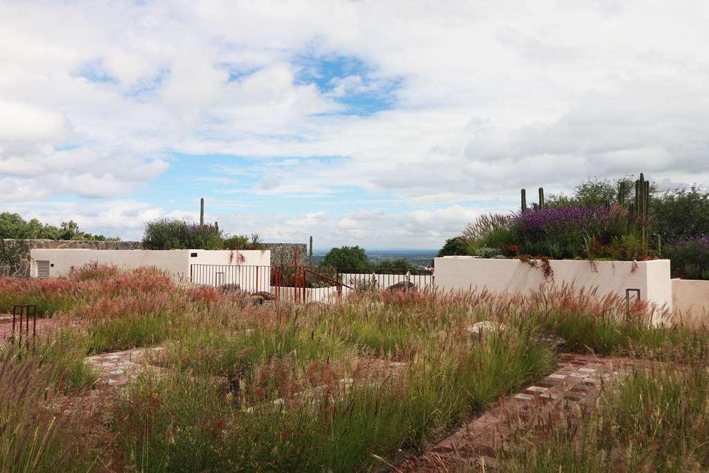 Albor San Miguel De Allende Tapestry Collection By Hilton Bagian luar foto